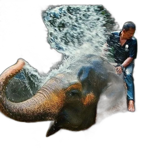 animal, creature, umbrella, weapon, photorealistic, concept art, 3d render, underwater transparent PNG cut-out