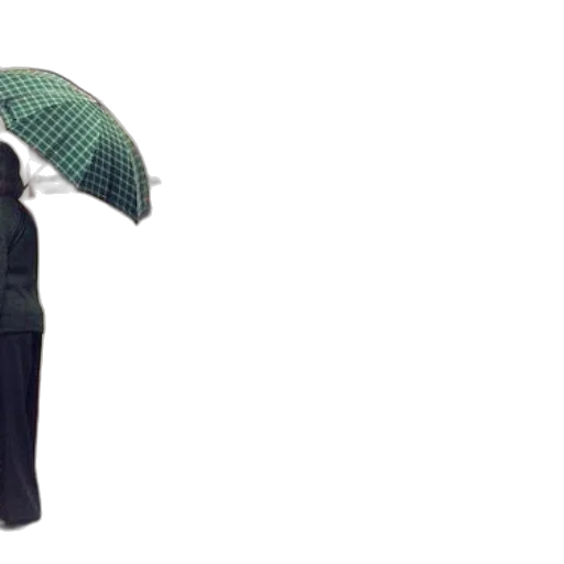 umbrella, jacket, dress, hat, 3d render, photorealistic, rain, green transparent PNG cut-out