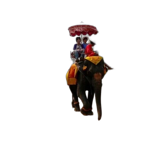 umbrella, hat, staff, animal, 3d render, concept art, photorealistic, pixel art transparent PNG cut-out