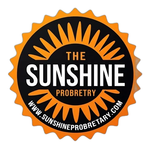 close-up, image, round, black, orange, label, word, sunshine transparent PNG cut-out