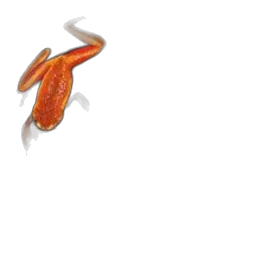 food, dragon, weapon, staff, 3d render, photorealistic, concept art, pixel art transparent PNG cut-out
