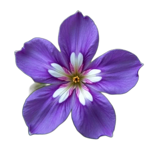 flower, crown, jewelry, staff, photorealistic, 3d render, oil painting, watercolor transparent PNG cut-out