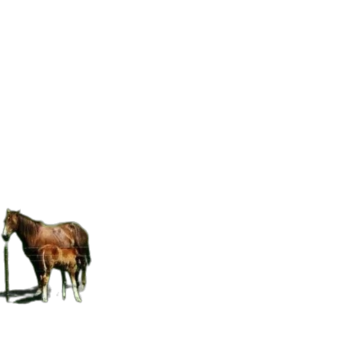 animal, creature, staff, furniture, concept art, pixel art, photorealistic, 3d render transparent PNG cut-out