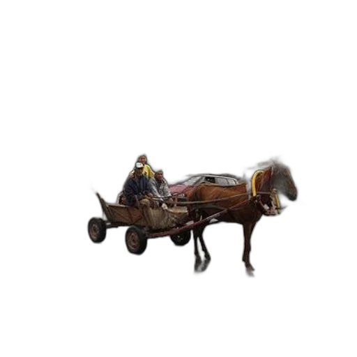 furniture, car, animal, staff, concept art, 3d render, photorealistic, fantasy art transparent PNG cut-out