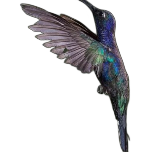 staff, animal, jewelry, dragon, photorealistic, 3d render, concept art, watercolor transparent PNG cut-out