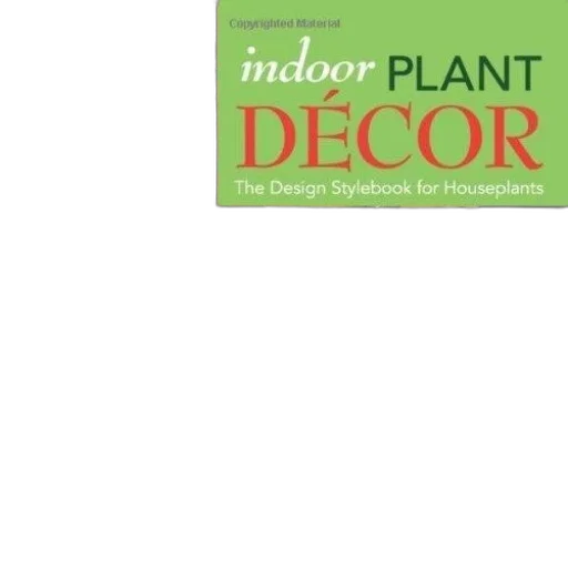 green, indoor, plant, decor, design, stylebook, houseplants, kylee transparent PNG cut-out