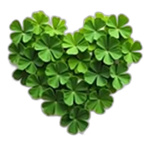 green, heart-shaped, arrangement, shamrocks, white, background, densely, packed transparent PNG cut-out