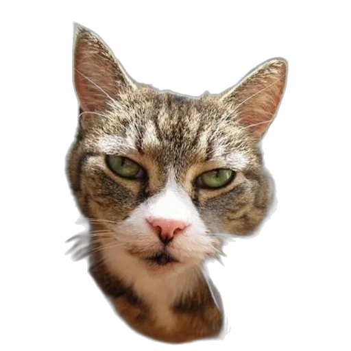 animal, face, staff, creature, photorealistic, 3d render, pixel art, concept art transparent PNG cut-out