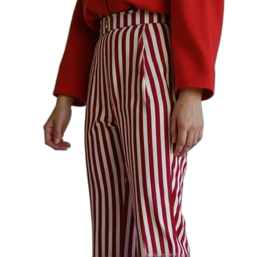 jacket, dress, staff, shoes, 3d render, red, monochrome, looker transparent PNG cut-out
