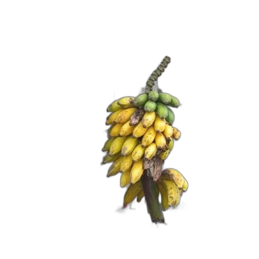 food, crown, staff, weapon, 3d render, concept art, photorealistic, pixel art transparent PNG cut-out