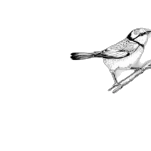 animal, staff, weapon, creature, pencil sketch, photorealistic, concept art, 3d render transparent PNG cut-out