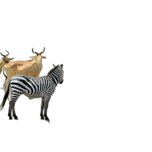animal, creature, jewelry, crown, 3d render, concept art, photorealistic, pixel art transparent PNG cut-out
