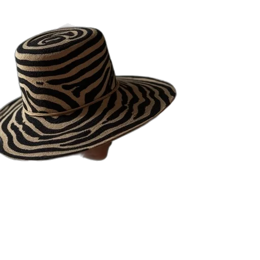 hat, shoes, woman, standing, front, mirror, wearing, zebra transparent PNG cut-out