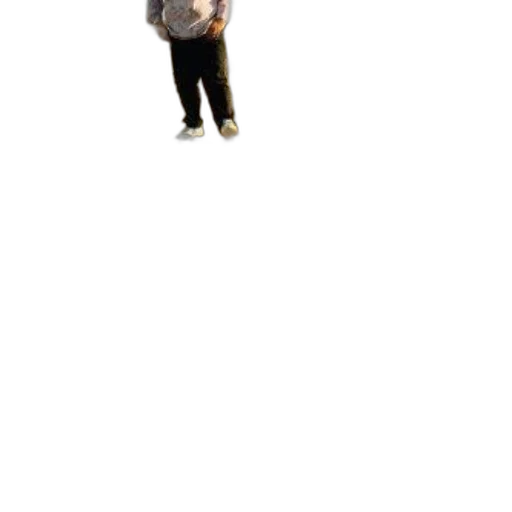 staff, creature, animal, jacket, 3d render, concept art, photorealistic, pixel art transparent PNG cut-out