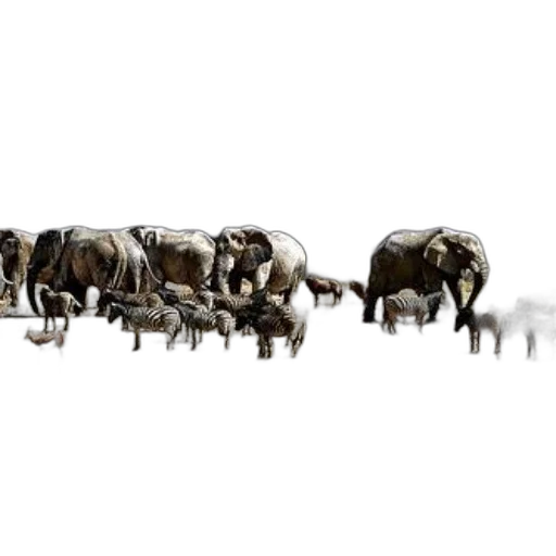 animal, weapon, staff, furniture, concept art, 3d render, photorealistic, herd transparent PNG cut-out