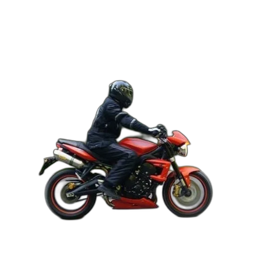 weapon, jacket, animal, 3d render transparent PNG cut-out