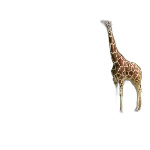 animal, creature, umbrella, staff, 3d render, concept art, pixel art, photorealistic transparent PNG cut-out