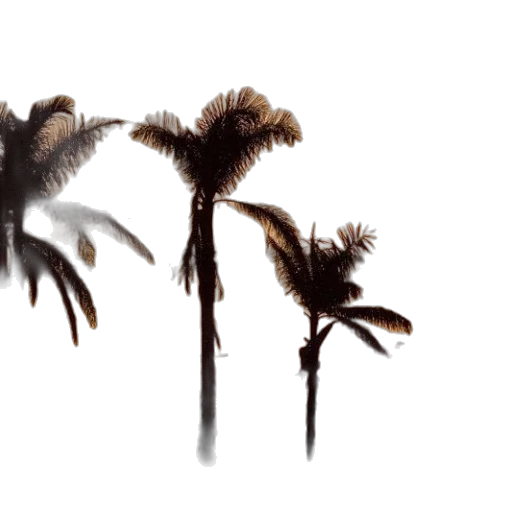 hair, dragon, crown, weapon, concept art, photorealistic, 3d render, fantasy art transparent PNG cut-out