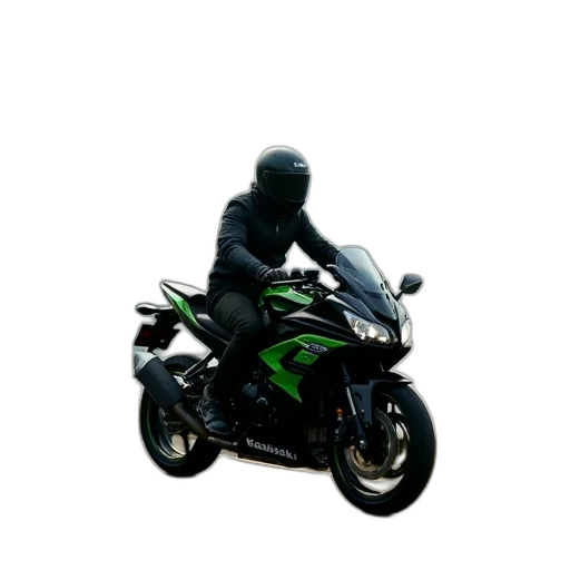 jacket, weapon, animal, dragon, 3d render, photorealistic, concept art, pixel art transparent PNG cut-out