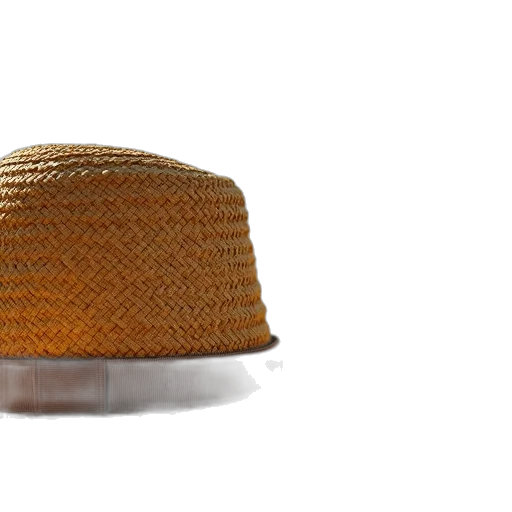 hat, crown, jewelry, hair, 3d render, photorealistic, earth tones, golden transparent PNG cut-out