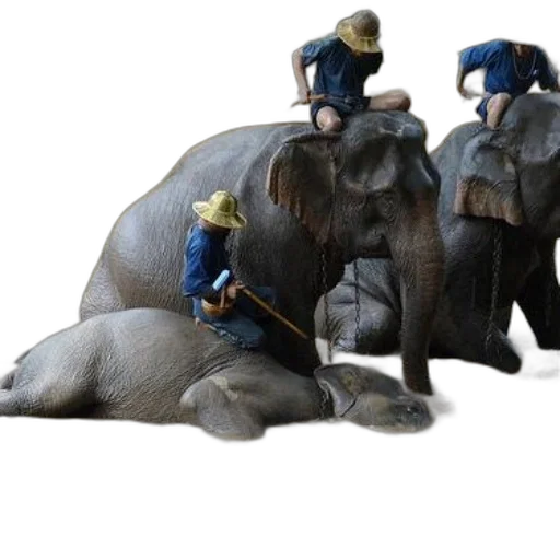 animal, staff, concept art, 3d render, photorealistic, three, elephants, river transparent PNG cut-out