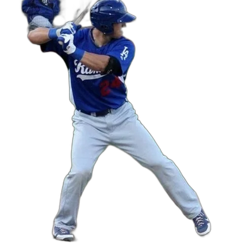 animal, creature, staff, baseball transparent PNG cut-out