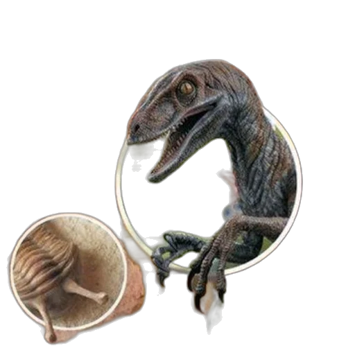 dragon, creature, jewelry, animal, concept art, 3d render, photorealistic, book transparent PNG cut-out