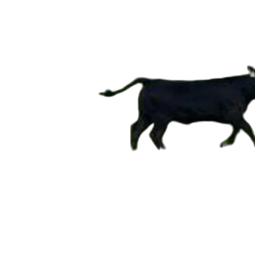 animal, jewelry, staff, food, 3d render, concept art, pixel art, photorealistic transparent PNG cut-out