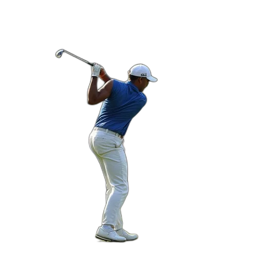 staff, crowd, watches, tiger, sanders, action, 2013, masters transparent PNG cut-out