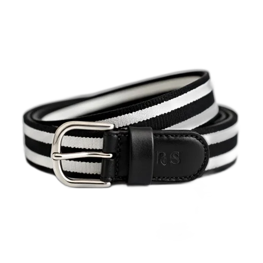 jewelry, monochrome, black, white, striped, belt, silver, buckle transparent PNG cut-out