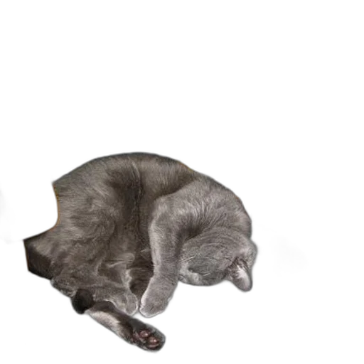 animal, creature, staff, furniture, photorealistic, 3d render, concept art, monochrome transparent PNG cut-out