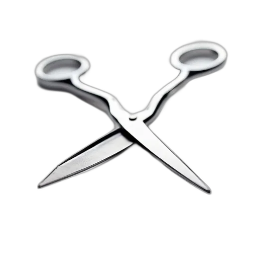 sword, jewelry, weapon, staff, close-up, image, pair, scissors transparent PNG cut-out