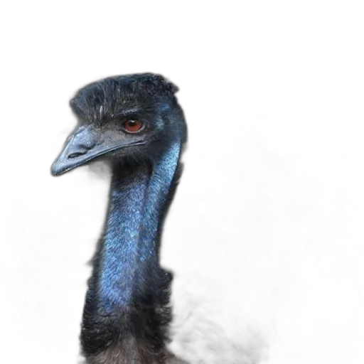 animal, creature, staff, face, photorealistic, 3d render, concept art, watercolor transparent PNG cut-out