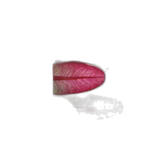 jewelry, flower, staff, hat, photorealistic, 3d render, oil painting, pixel art transparent PNG cut-out
