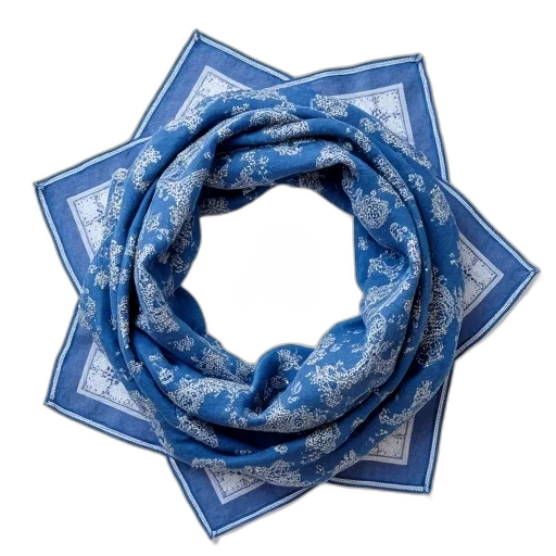 flower, jewelry, crown, umbrella, 3d render, blue, white, paisley transparent PNG cut-out