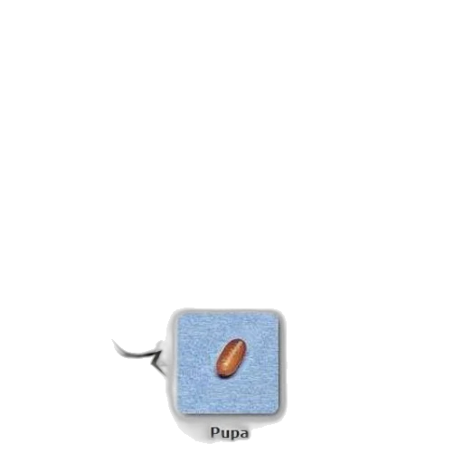food, weapon, animal, jewelry, pixel art, concept art, photorealistic, 3d render transparent PNG cut-out