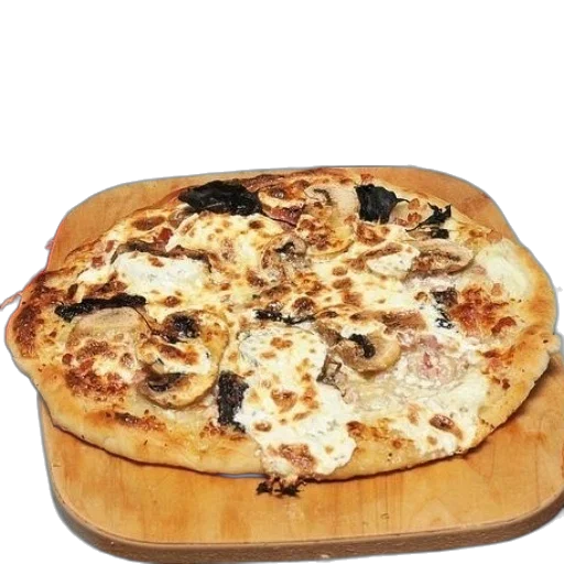 food, animal, face, jacket transparent PNG cut-out