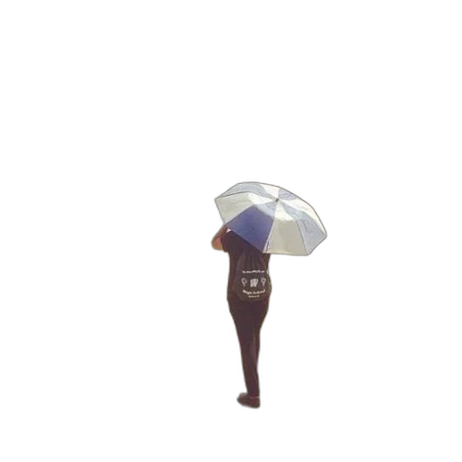 umbrella, hat, jacket, staff, pixel art, 3d render, concept art, photorealistic transparent PNG cut-out