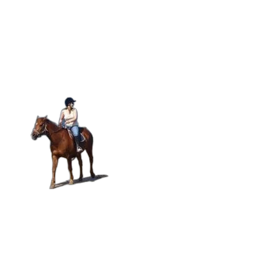 hat, staff, animal, crown, pixel art, concept art, 3d render, photorealistic transparent PNG cut-out