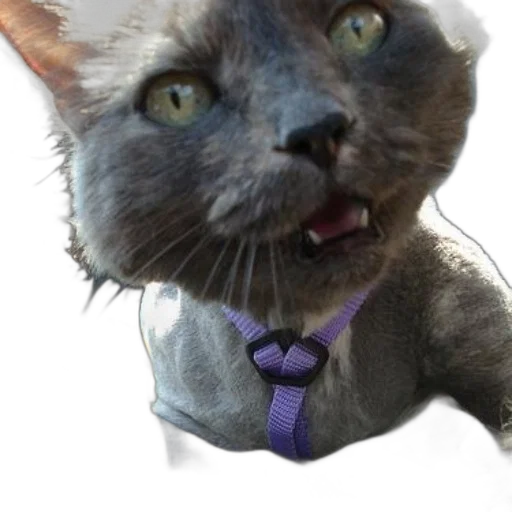 staff, animal, creature, face, photorealistic, 3d render, concept art, gray transparent PNG cut-out