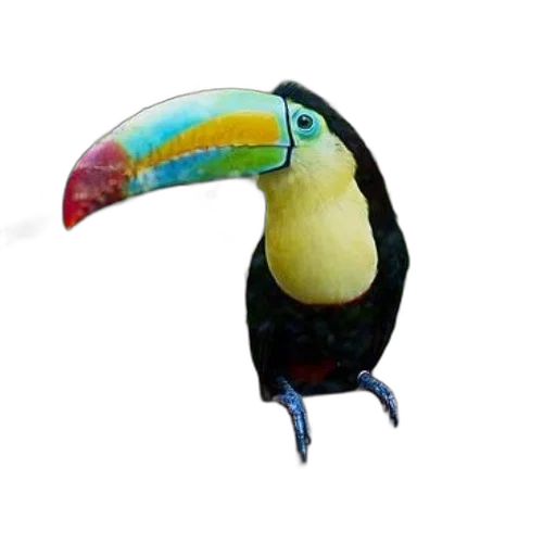 animal, staff, jewelry, hat, 3d render, photorealistic, concept art, watercolor transparent PNG cut-out