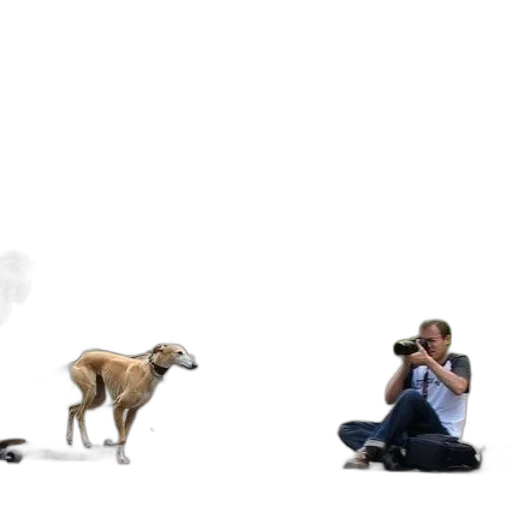 animal, staff, creature, umbrella transparent PNG cut-out