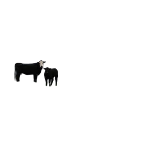 animal, creature, food, furniture, pixel art, concept art, monochrome, three transparent PNG cut-out