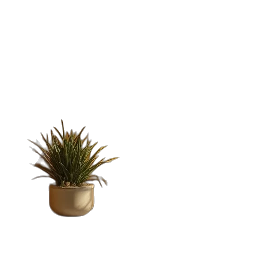 crown, furniture, flower, hat transparent PNG cut-out