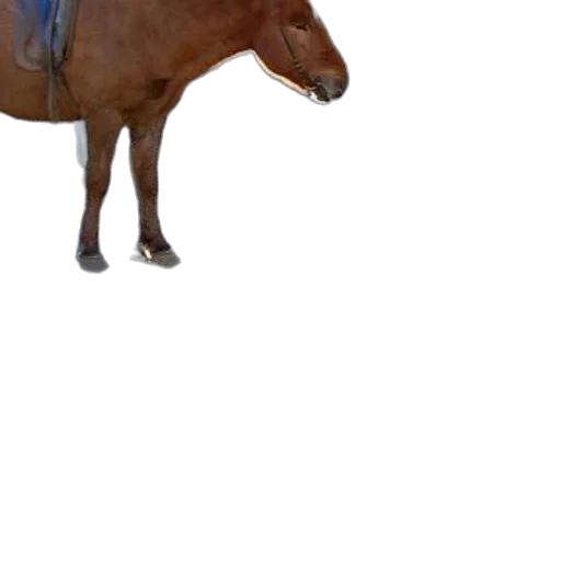 animal, creature, hat, staff, 3d render, photorealistic, concept art, pixel art transparent PNG cut-out
