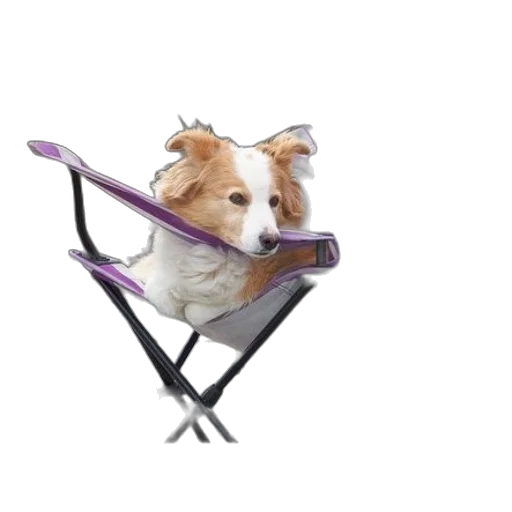 animal, furniture, staff, creature, 3d render, photorealistic, concept art, vaporwave transparent PNG cut-out