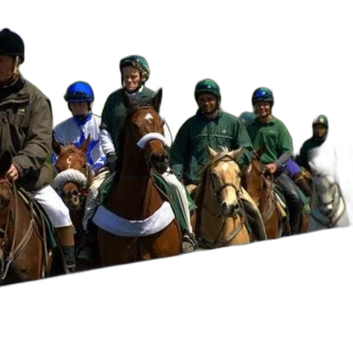 staff, photorealistic, group, jockeys, horses, one, wearing, blue transparent PNG cut-out