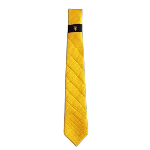 staff, yellow, tie, diamond, pattern, black, label, logo transparent PNG cut-out
