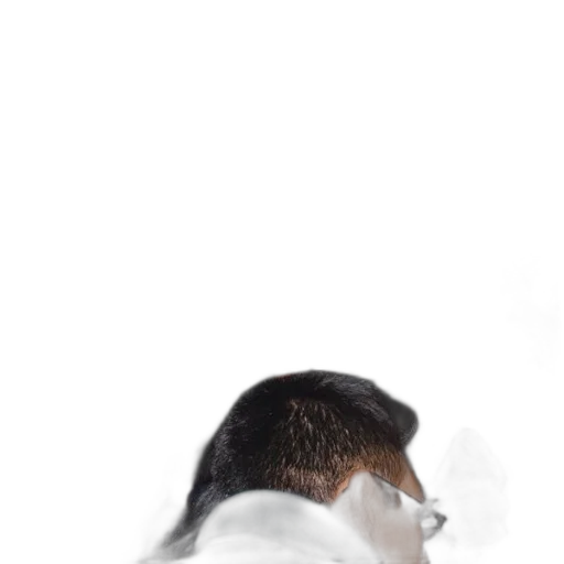 hair, face, mask, staff, photorealistic, concept art, 3d render, oil painting transparent PNG cut-out