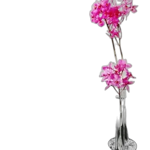 flower, staff, jewelry, crown, 3d render, photorealistic, concept art, oil painting transparent PNG cut-out